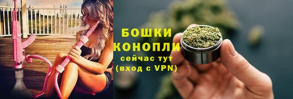 соль ск Лагань